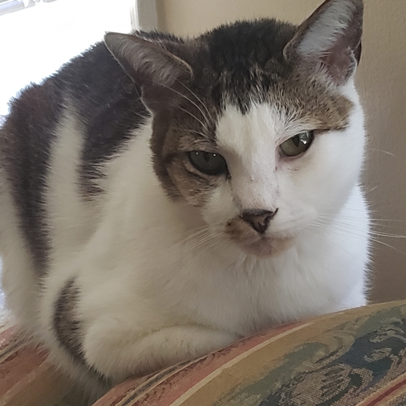 Information about my Poshmark Closet - Picture 3 of 6